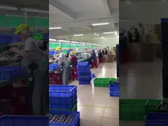 شخصية عمل شخصية مرحة هز الرأس لعب